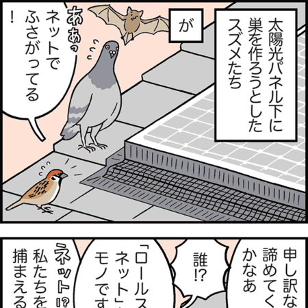 屋根守ろールスターネット