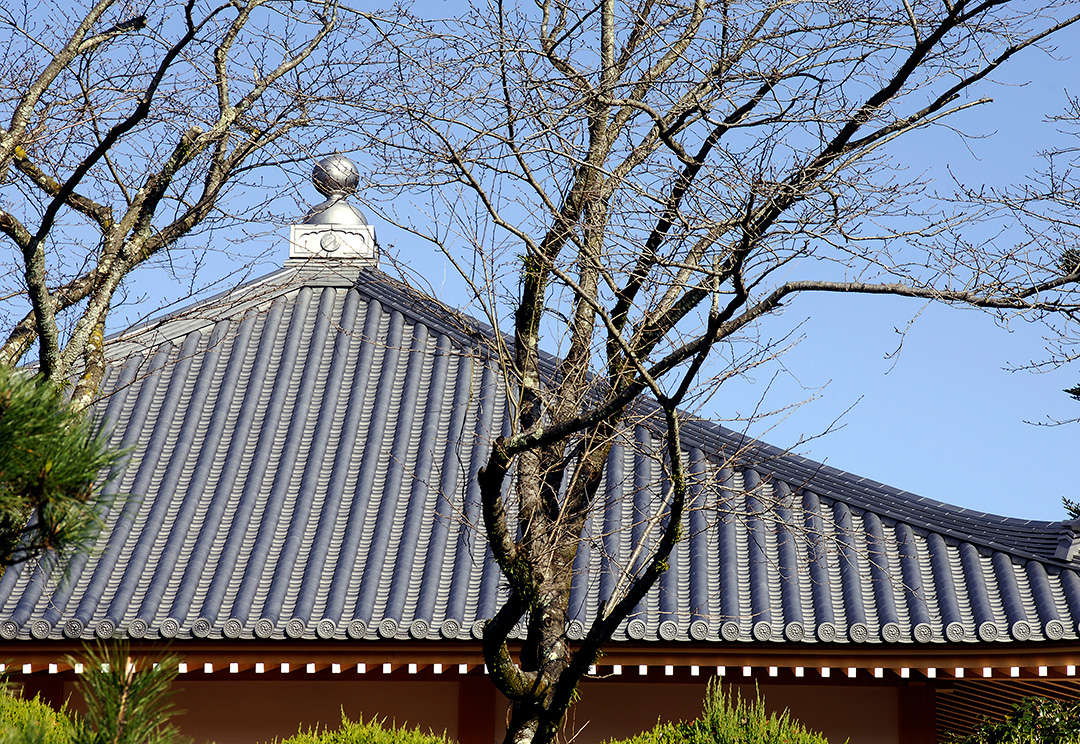 施工写真：大石寺 塔中坊